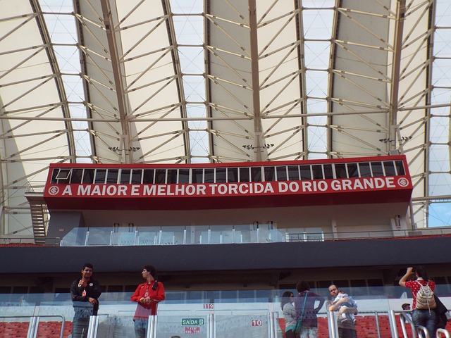 归化手续已 归化手续已