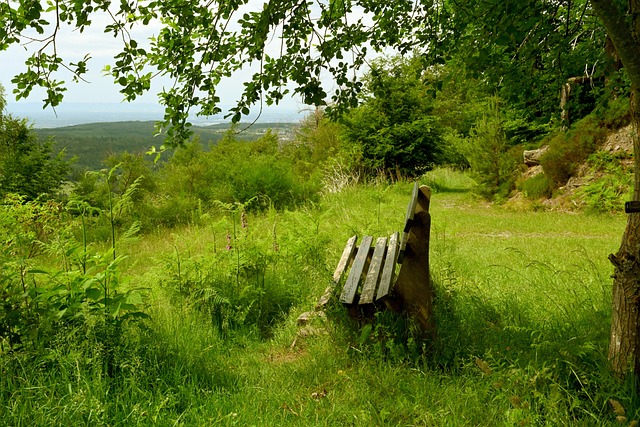 的选手同场 的选手同场