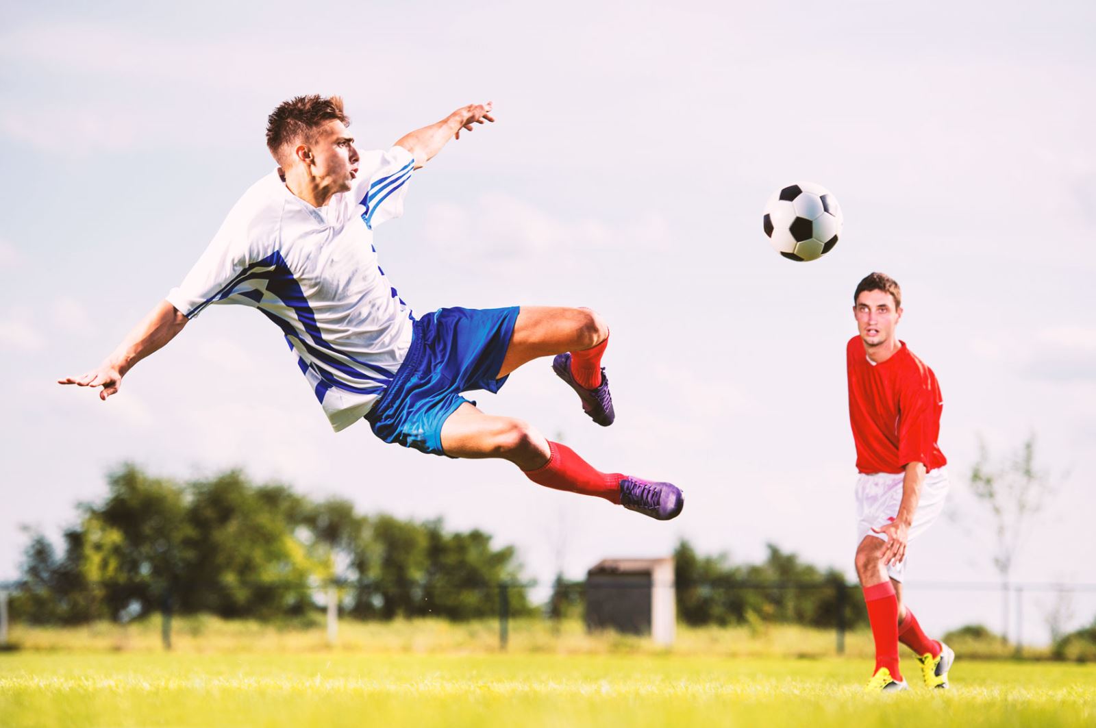 了所有人 了所有人